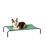 Amazon Basics - Perro Cama elevada refrescante para mascotas, Mediano, Verde